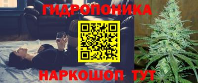 индика Бузулук