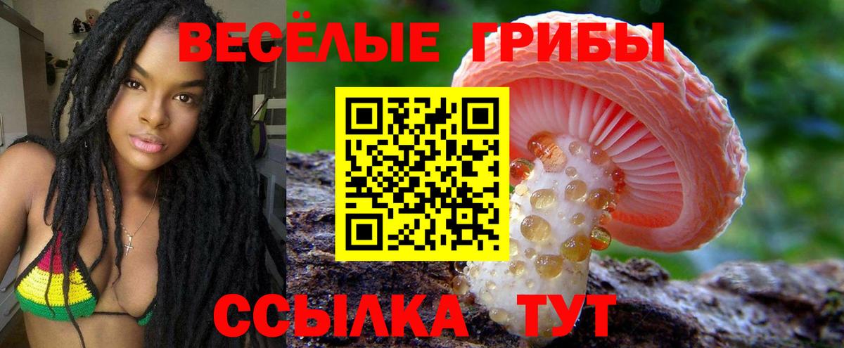 Галлюциногенные грибы мухоморы  Галлюциногенные грибы Cubensis  купить наркотик  Вход с VPN  Севастополь 